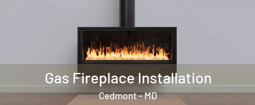 Gas Fireplace Installation Cedmont - MD