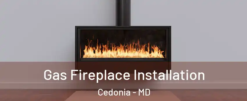 Gas Fireplace Installation Cedonia - MD