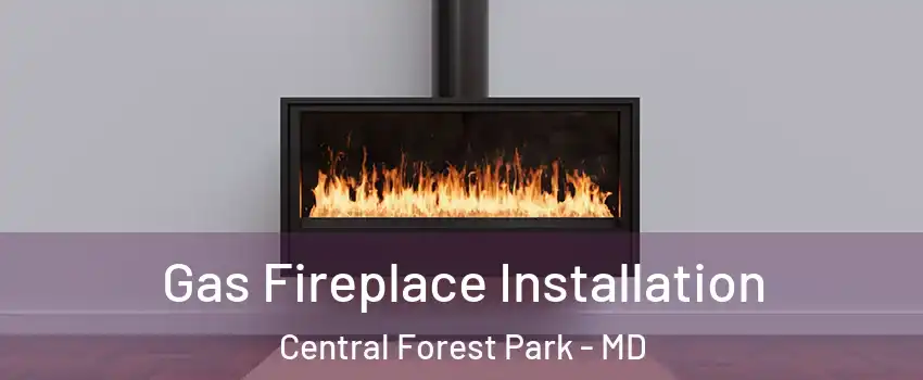 Gas Fireplace Installation Central Forest Park - MD