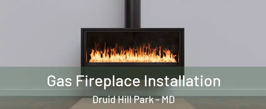 Gas Fireplace Installation Druid Hill Park - MD
