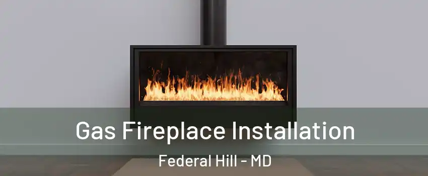 Gas Fireplace Installation Federal Hill - MD