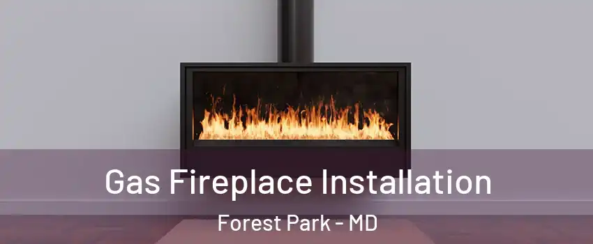 Gas Fireplace Installation Forest Park - MD