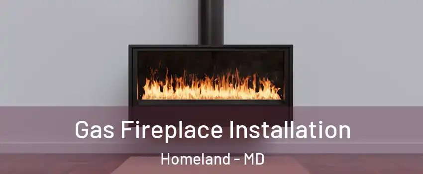 Gas Fireplace Installation Homeland - MD