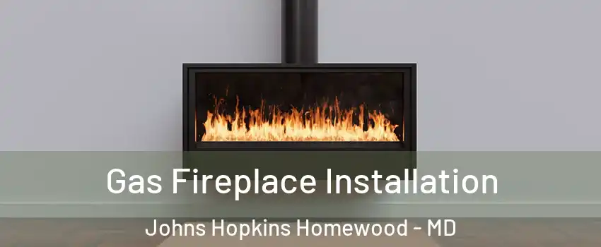 Gas Fireplace Installation Johns Hopkins Homewood - MD