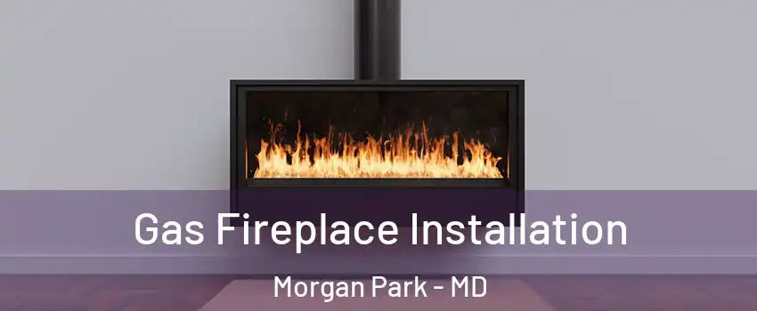 Gas Fireplace Installation Morgan Park - MD