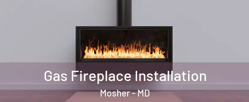 Gas Fireplace Installation Mosher - MD