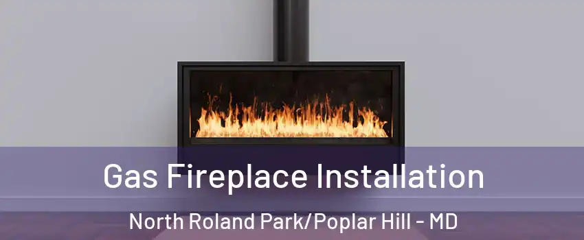 Gas Fireplace Installation North Roland Park/Poplar Hill - MD
