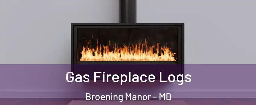 Gas Fireplace Logs Broening Manor - MD