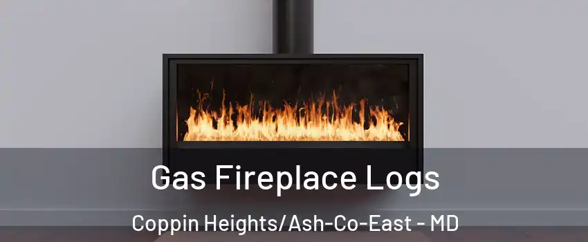 Gas Fireplace Logs Coppin Heights/Ash-Co-East - MD