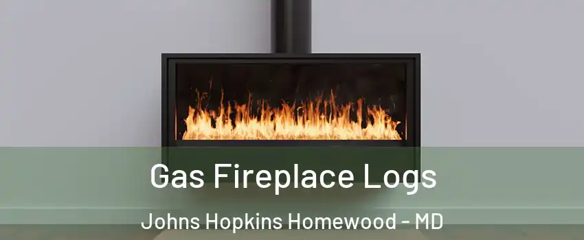 Gas Fireplace Logs Johns Hopkins Homewood - MD