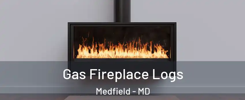 Gas Fireplace Logs Medfield - MD