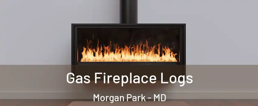 Gas Fireplace Logs Morgan Park - MD