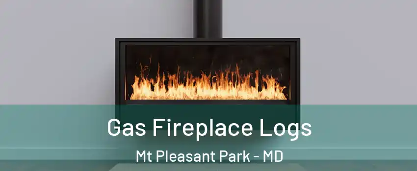 Gas Fireplace Logs Mt Pleasant Park - MD