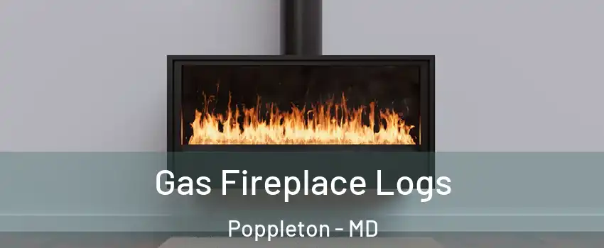 Gas Fireplace Logs Poppleton - MD