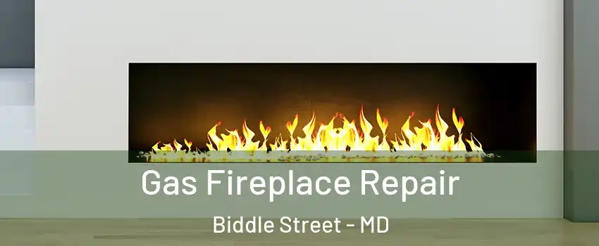 Gas Fireplace Repair Biddle Street - MD