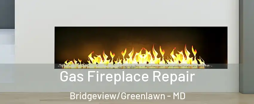 Gas Fireplace Repair Bridgeview/Greenlawn - MD