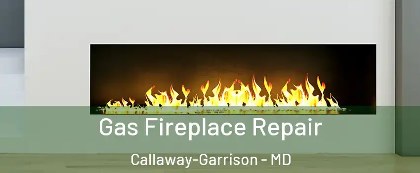 Gas Fireplace Repair Callaway-Garrison - MD