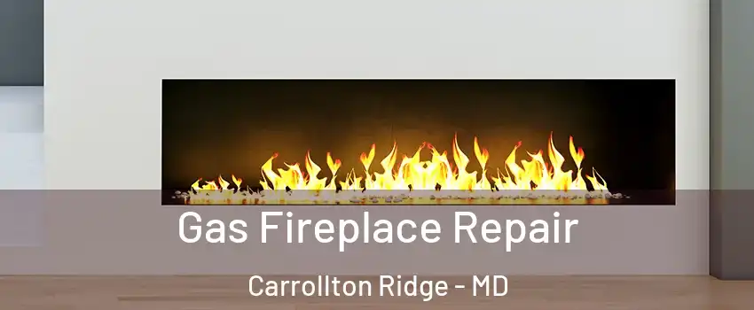 Gas Fireplace Repair Carrollton Ridge - MD