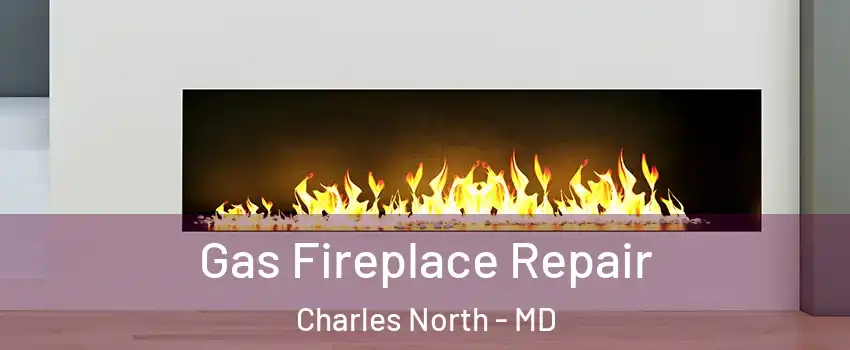 Gas Fireplace Repair Charles North - MD