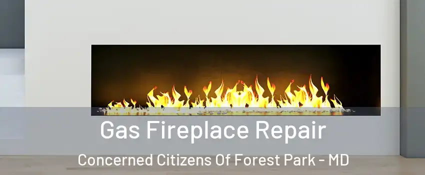 Gas Fireplace Repair Concerned Citizens Of Forest Park - MD