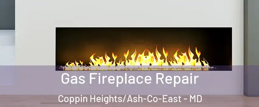 Gas Fireplace Repair Coppin Heights/Ash-Co-East - MD