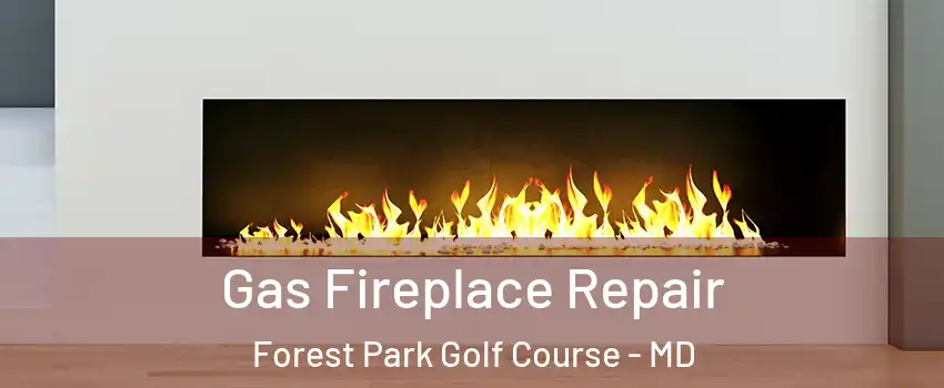 Gas Fireplace Repair Forest Park Golf Course - MD