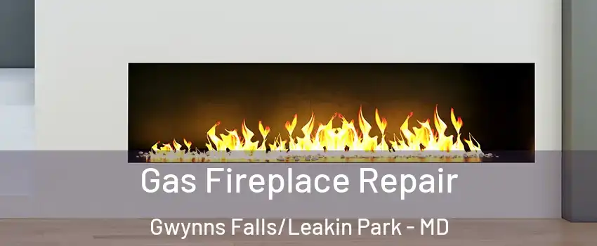 Gas Fireplace Repair Gwynns Falls/Leakin Park - MD