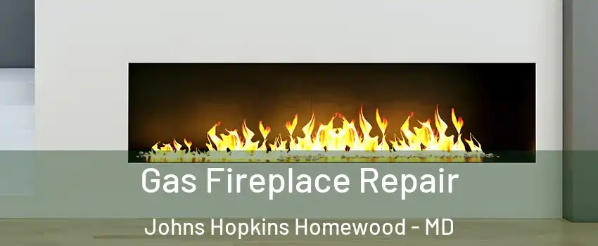 Gas Fireplace Repair Johns Hopkins Homewood - MD
