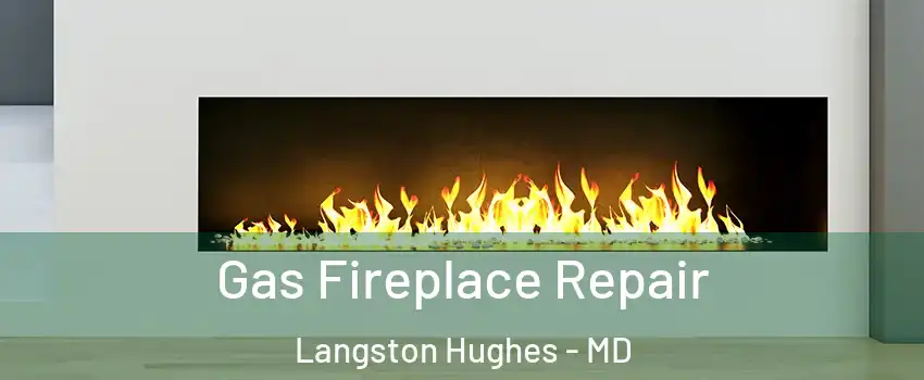 Gas Fireplace Repair Langston Hughes - MD