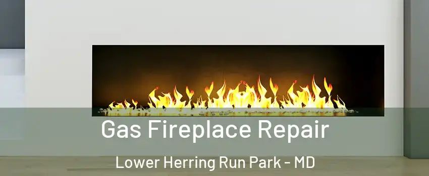 Gas Fireplace Repair Lower Herring Run Park - MD