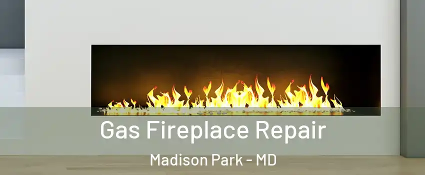 Gas Fireplace Repair Madison Park - MD