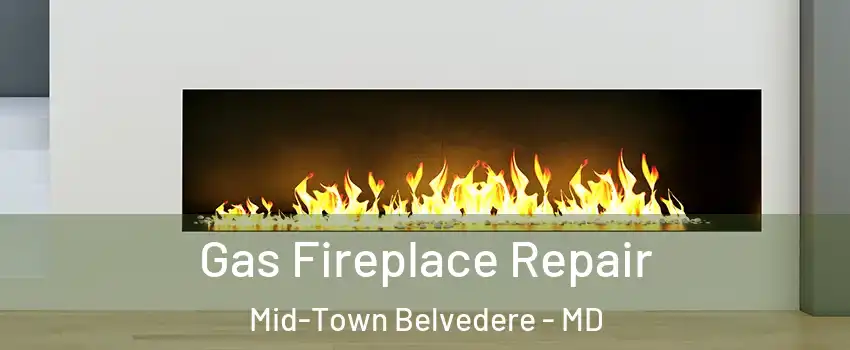 Gas Fireplace Repair Mid-Town Belvedere - MD