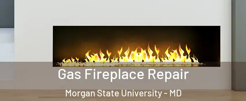 Gas Fireplace Repair Morgan State University - MD