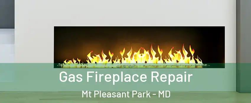 Gas Fireplace Repair Mt Pleasant Park - MD