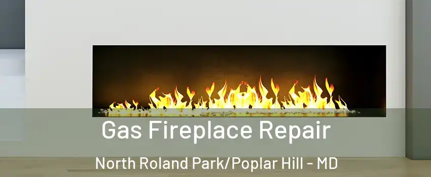 Gas Fireplace Repair North Roland Park/Poplar Hill - MD