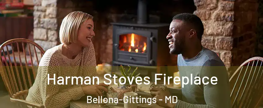 Harman Stoves Fireplace Bellona-Gittings - MD