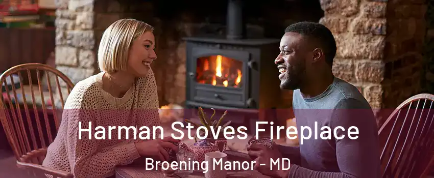 Harman Stoves Fireplace Broening Manor - MD