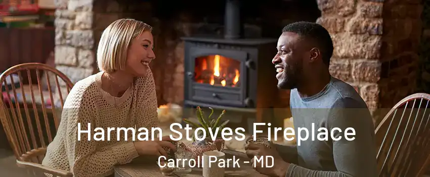Harman Stoves Fireplace Carroll Park - MD
