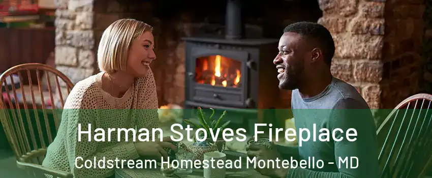 Harman Stoves Fireplace Coldstream Homestead Montebello - MD