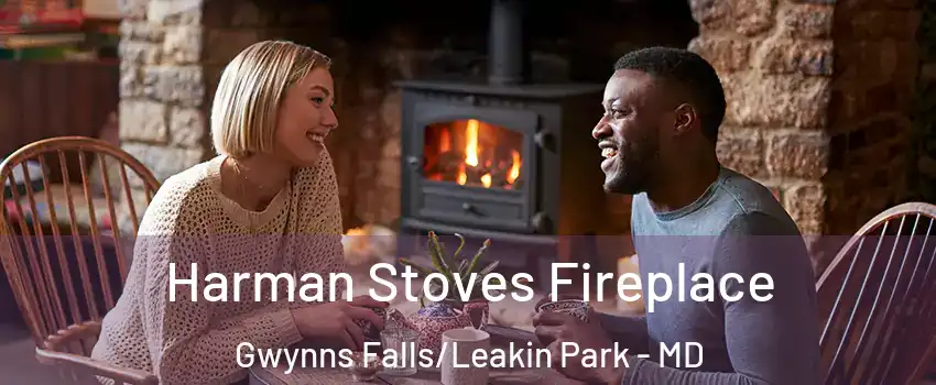 Harman Stoves Fireplace Gwynns Falls/Leakin Park - MD