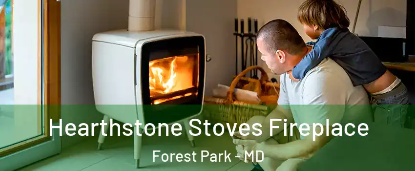 Hearthstone Stoves Fireplace Forest Park - MD