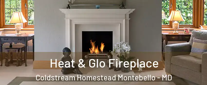 Heat & Glo Fireplace Coldstream Homestead Montebello - MD