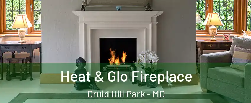 Heat & Glo Fireplace Druid Hill Park - MD
