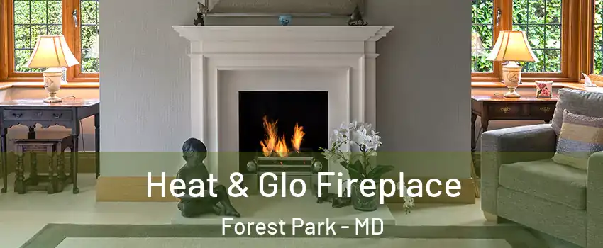 Heat & Glo Fireplace Forest Park - MD