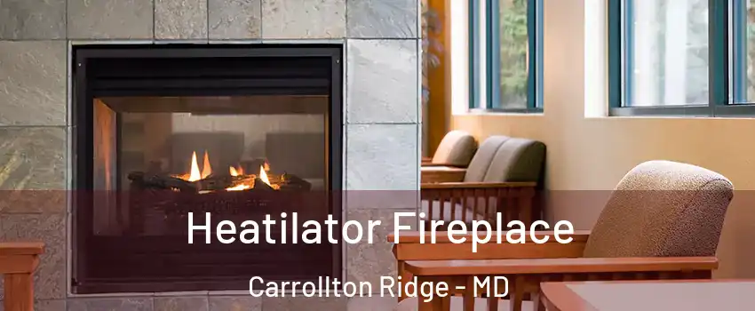 Heatilator Fireplace Carrollton Ridge - MD