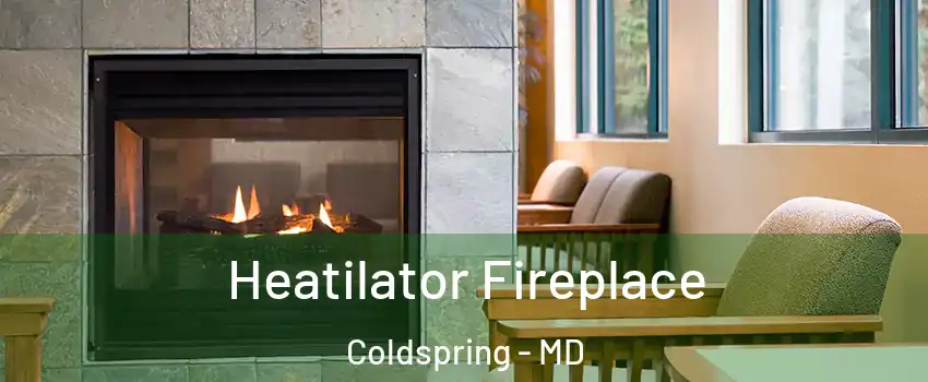 Heatilator Fireplace Coldspring - MD