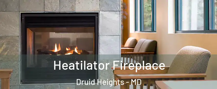 Heatilator Fireplace Druid Heights - MD