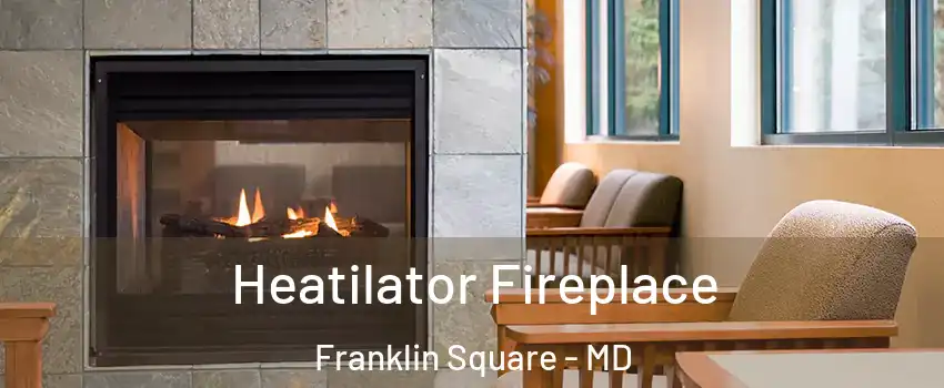 Heatilator Fireplace Franklin Square - MD