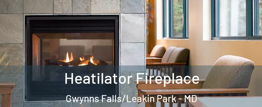Heatilator Fireplace Gwynns Falls/Leakin Park - MD