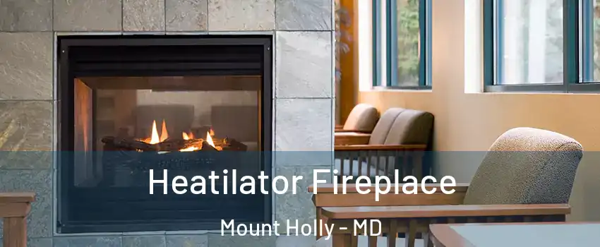 Heatilator Fireplace Mount Holly - MD